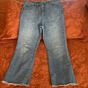 Hidden Classic Blue Crop Raw Edge Jeans, size 31